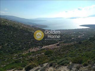 Αγροτεμάχια 1.000 τ.μ. για πώληση, Εύβοια, Στύρα-thumb-1