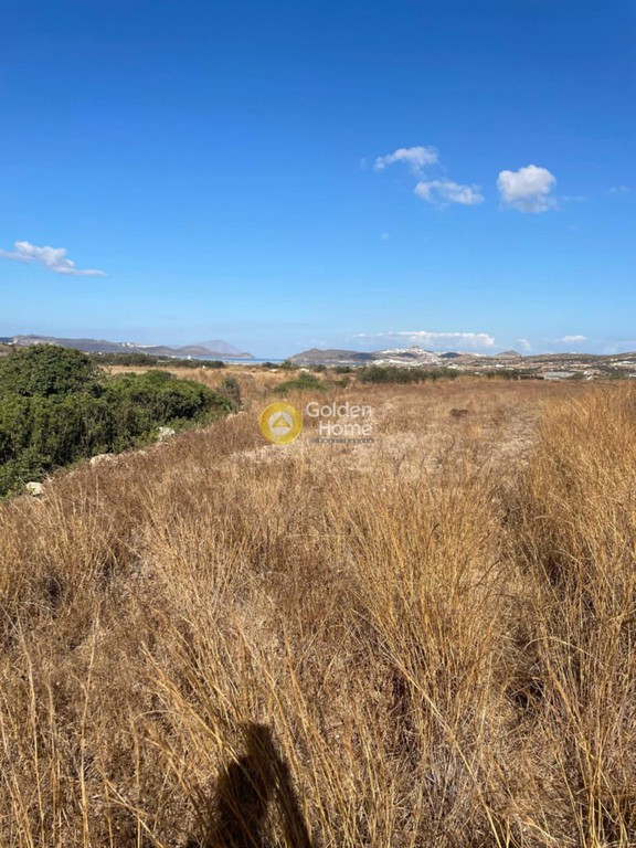 Οικόπεδο 6.649 τ.μ. προς πώληση, Ζεφυρία