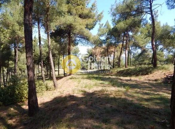Parcel 29.576 sqm for sale, Thessaloniki - Suburbs, Pylea