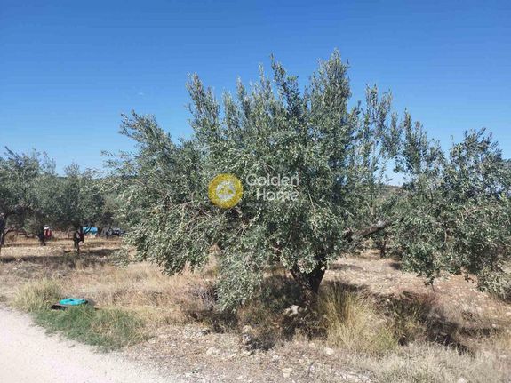 Αγροτεμάχια 1.387 τ.μ. για πώληση, Κορινθία, Σαρωνικός