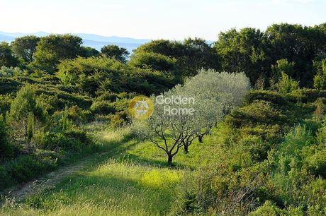 Οικόπεδο 18.000 τ.μ. για πώληση
