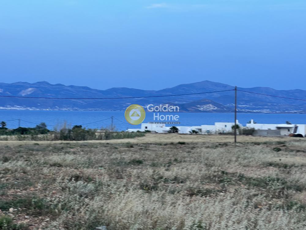Αγροτεμάχια 9.500 τ.μ. προς πώληση, Αμπελάς