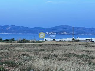 Αγροτεμάχια 9.500 τ.μ. προς πώληση, Αμπελάς-thumb-1