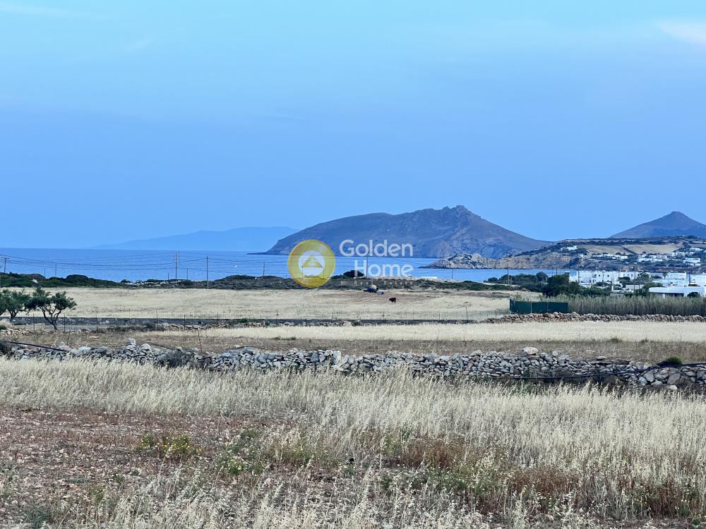 Αγροτεμάχια 9.500 τ.μ. προς πώληση, Αμπελάς