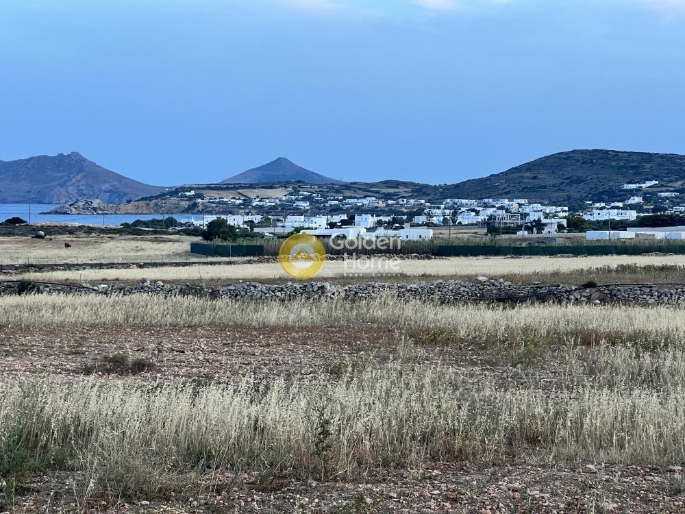 Αγροτεμάχια 9.500 τ.μ. προς πώληση, Αμπελάς