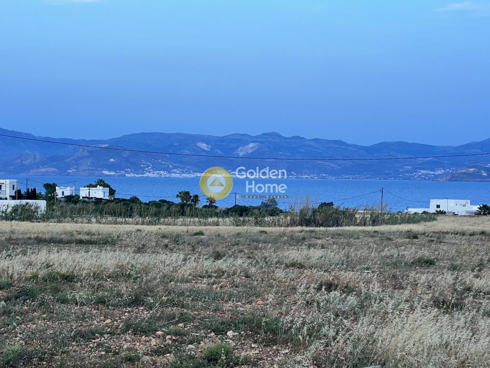 Αγροτεμάχια 9.500 τ.μ. προς πώληση, Αμπελάς