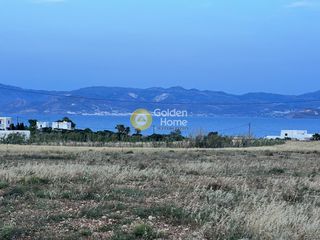 Αγροτεμάχια 9.500 τ.μ. προς πώληση, Αμπελάς-thumb-3