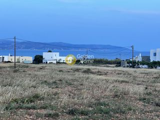 Αγροτεμάχια 9.500 τ.μ. προς πώληση, Αμπελάς-thumb-5