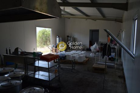 Βιομηχανικός χώρος 300τ.μ. για ενοικίαση-Νίκος καζαντζάκης » Μελέσες