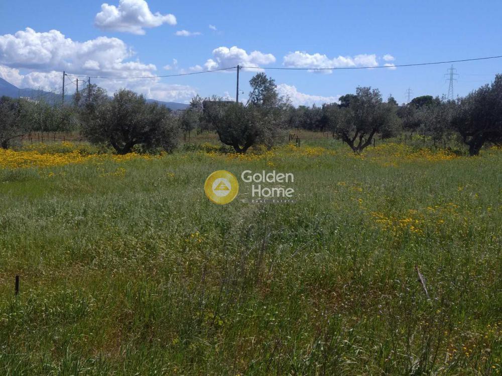 Οικόπεδο 2.190 τ.μ. προς πώληση, Άγιος Γεώργιος Κορίνθου