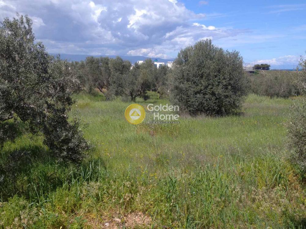 Οικόπεδο 2.190 τ.μ. προς πώληση, Άγιος Γεώργιος Κορίνθου