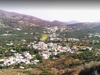 Αγροτεμάχια 5.200 τ.μ. για πώληση