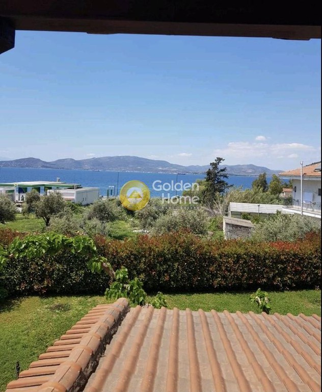 Μεζονέτα 268 τ.μ. πρός πώληση, Μαγνησία, Αγριά