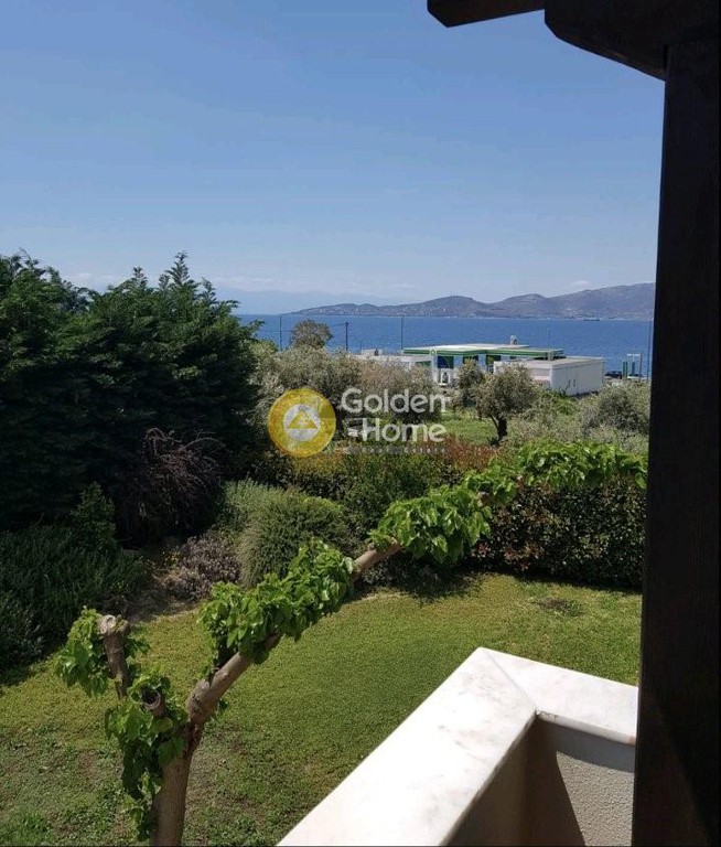 Μεζονέτα 268 τ.μ. πρός πώληση, Μαγνησία, Αγριά