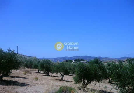 Οικόπεδο 7.800τ.μ. για πώληση-Πάρος » Σωτήρες