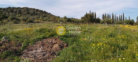 Αγροτεμάχια 16.000τ.μ. για πώληση-Μαραθώνας » Κάτω σούλι