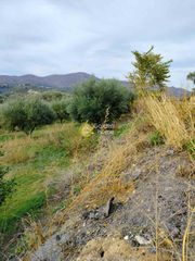Οικόπεδο 1.255 τ.μ. για πώληση