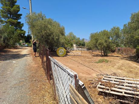Οικόπεδο 509τ.μ. για πώληση-Παιανία » Αγία τριάδα