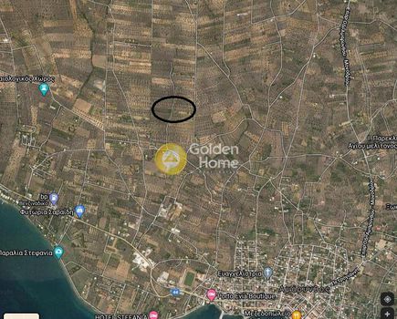 Αγροτεμάχια 10.000τ.μ. για πώληση-Αμάρυνθος » Κουκάκι
