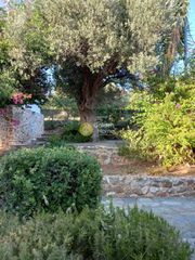 Μεζονέτα 200 τ.μ. για πώληση, Εύβοια, Στύρα-thumb-53