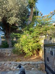 Μεζονέτα 200 τ.μ. για πώληση, Εύβοια, Στύρα-thumb-55