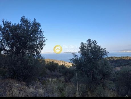 Οικόπεδο 10.500τ.μ. για πώληση-Γάζι » Παλαιόκαστρο