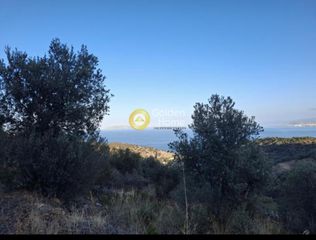 Οικόπεδο 10.500 τ.μ. για πώληση