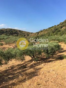 Οικόπεδο 2.743τ.μ. για πώληση-Ίτανος » Λαγκάδα