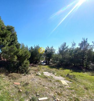 Οικόπεδο 1.079τ.μ. για πώληση-Νέα μάκρη » Νέος βουτζάς