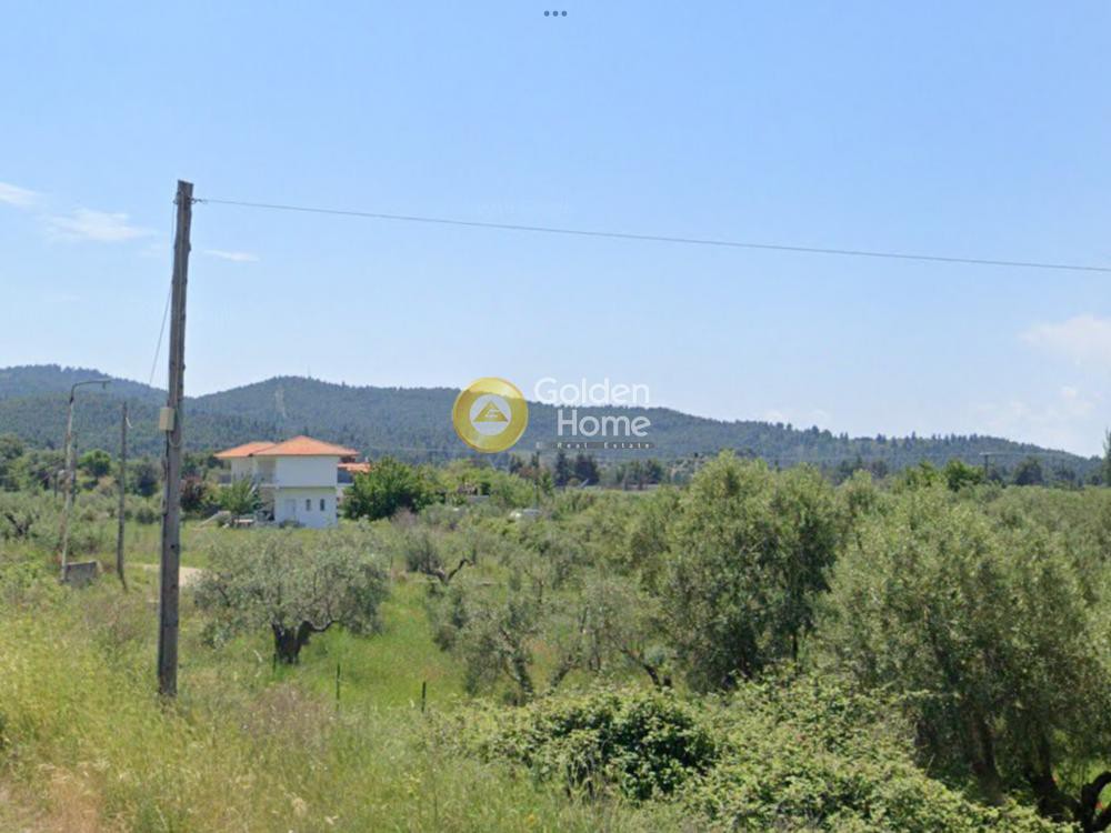 Αγροτεμάχια 7.500 τ.μ. προς πώληση, Λιμάνι Καρρά