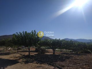 Αγροτεμάχια 5.000 τ.μ. για πώληση