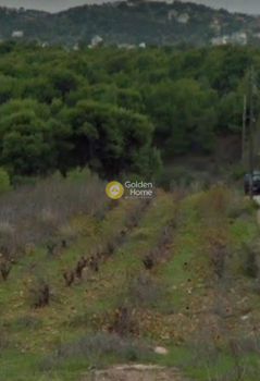 Αγροτεμάχια 900τ.μ. για πώληση-Αρτέμιδα (λούτσα) » Πανόραμα