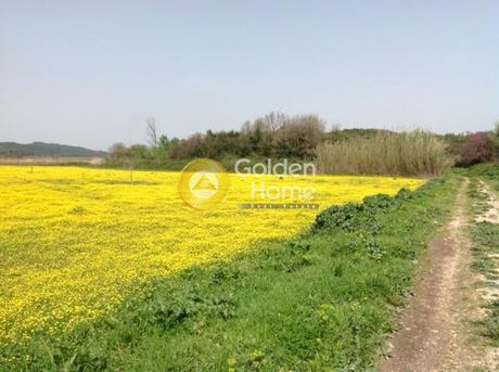 Αγροτεμάχια 7.000τ.μ. για πώληση-Οινιάδες » Πλατανιά