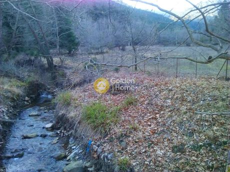 Οικόπεδο 5.703τ.μ. για πώληση-Καρπενήσι » Μεσαμπελιά