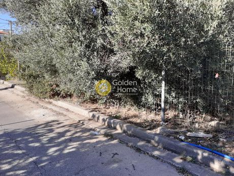 Οικόπεδο 278τ.μ. για πώληση-Αγία παρασκευή » Πευκάκια