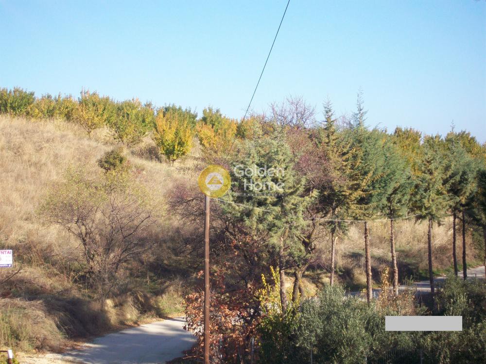 Οικόπεδο 3.202 τ.μ. προς πώληση, Σούλι Σικυώνας