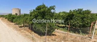 Οικόπεδο 9.145 τ.μ. για πώληση, Αργολίδα, Άργος-thumb-2