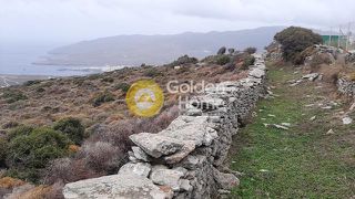 Αγροτεμάχια 4.097 τ.μ. για πώληση