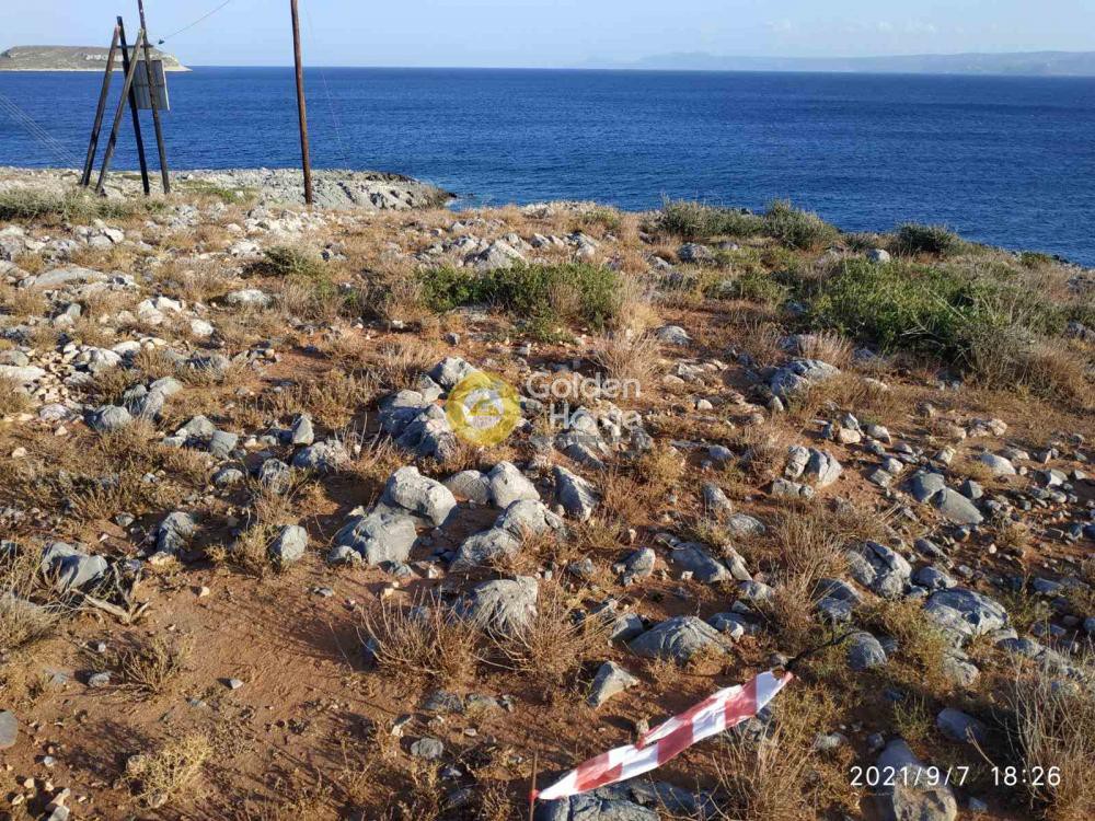 Οικόπεδο 15.000 τ.μ. προς πώληση, Κάτω Νησί Ελαφονήσου