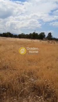 Αγροτεμάχια 8.295τ.μ. για πώληση-Κόρινθος » Εξαμίλια