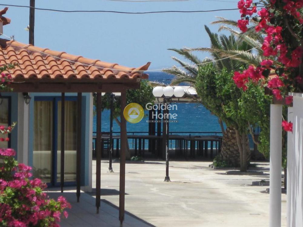 Ξενοδοχείο 3.753 τ.μ. προς πώληση, Μαραθιάς Βοιών