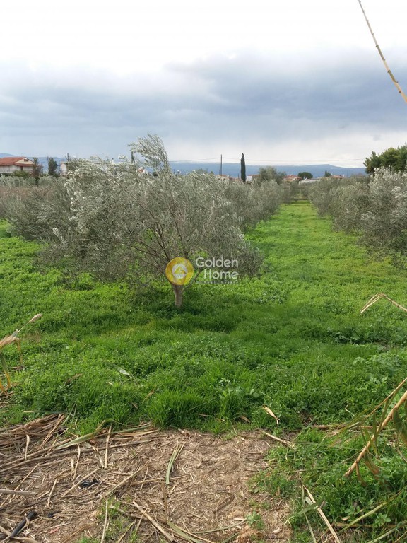 Οικόπεδο 1.138 τ.μ. προς πώληση, Καμινιτζαίικα