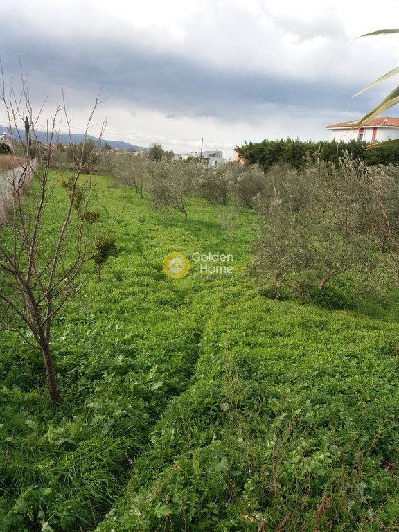 Οικόπεδο 1.138 τ.μ. προς πώληση, Καμινιτζαίικα
