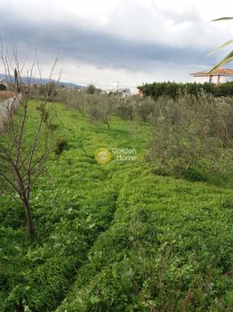 Οικόπεδο 1.138τ.μ. για πώληση-Άσσος-λεχαίο » Καμινιτζαίικα