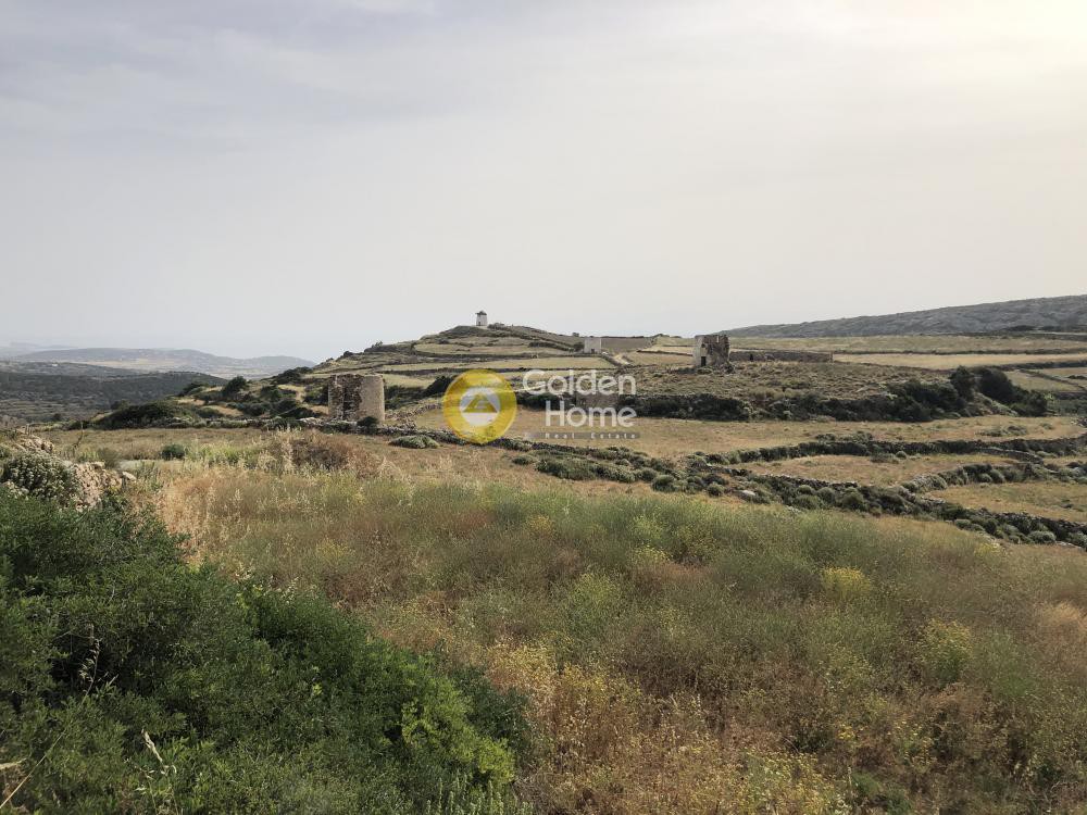Αγροτεμάχια 8.120 τ.μ. προς πώληση, Λεύκες Πάρου
