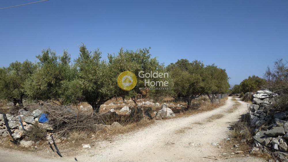 Οικόπεδο 4.672 τ.μ. προς πώληση, Ξηροστέρνι