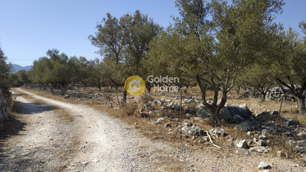 Οικόπεδο 4.672 τ.μ. προς πώληση, Ξηροστέρνι