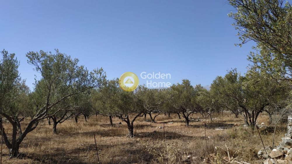 Οικόπεδο 4.672 τ.μ. προς πώληση, Ξηροστέρνι