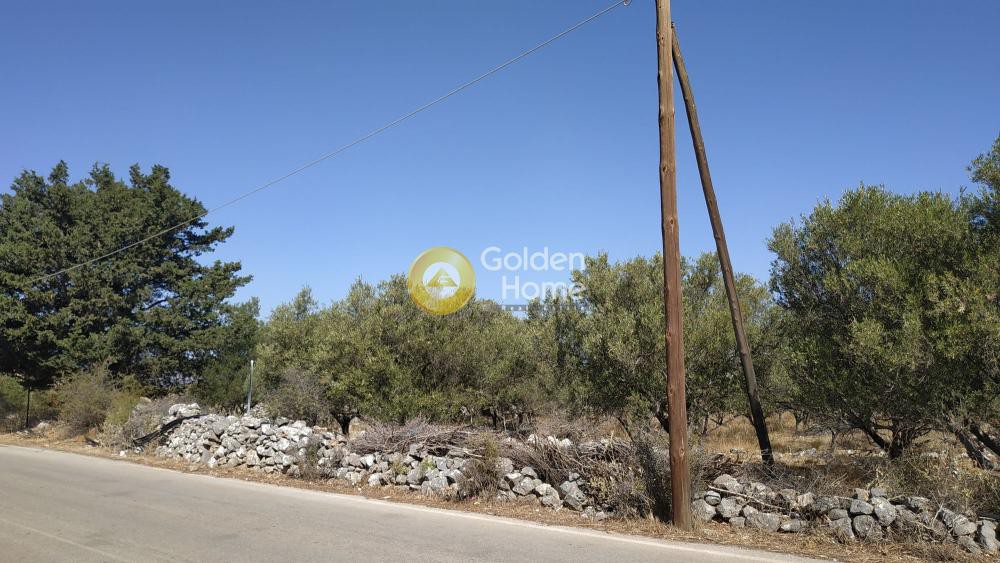 Οικόπεδο 4.672 τ.μ. προς πώληση, Ξηροστέρνι