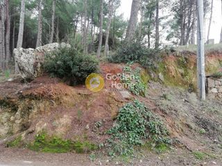 Οικόπεδο 1.540 τ.μ. προς πώληση